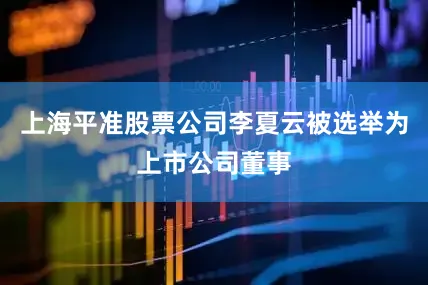 上海平准股票公司李夏云被选举为上市公司董事
