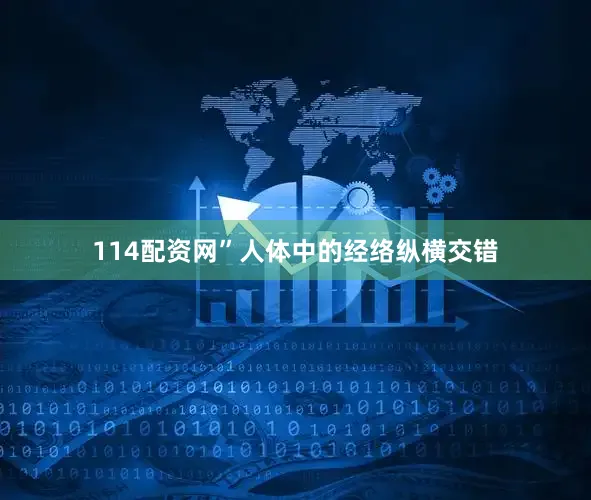 114配资网”人体中的经络纵横交错