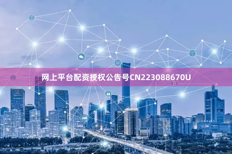 网上平台配资授权公告号CN223088670U